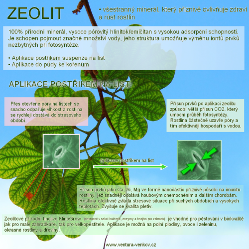 Zeolit 4 - 8 mm (25kg) + bioaktivátor pro záhony Oluska (500g)
