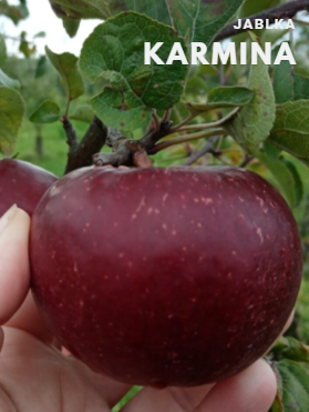 karmina