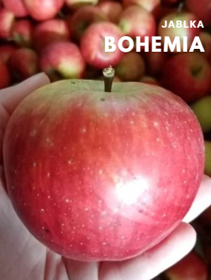 bohemia4
