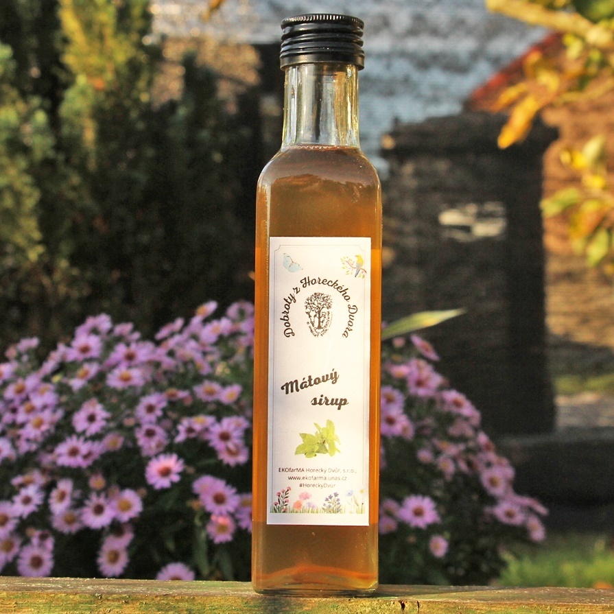 Mátový sirup 250ml, expirace