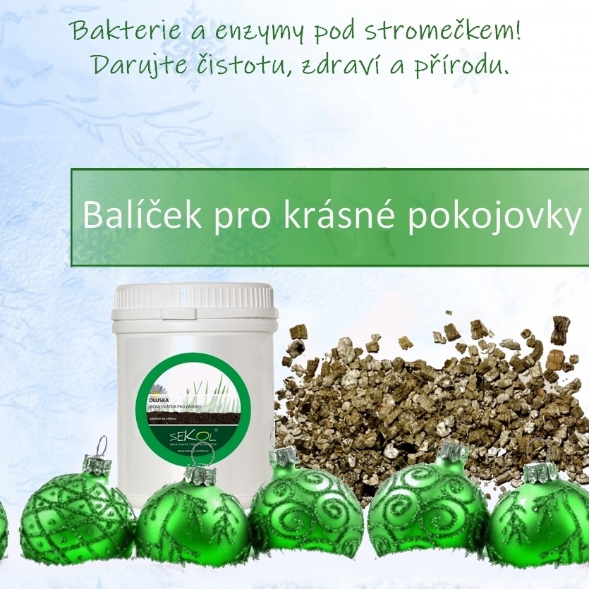 Balíček POKOJOVÉ ROSTLINY